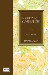 Bir Göz Açıp Yummuş Gibi | Hasan Akçay